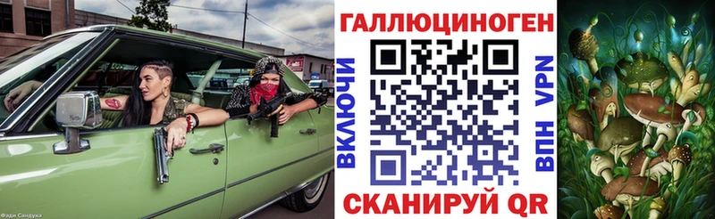 купить цена Мантурово Псилоцибиновые грибы GOLDEN TEACHER